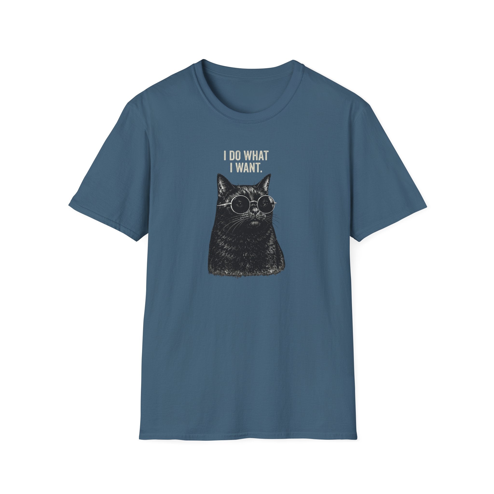 I Do What I Want T-Shirt