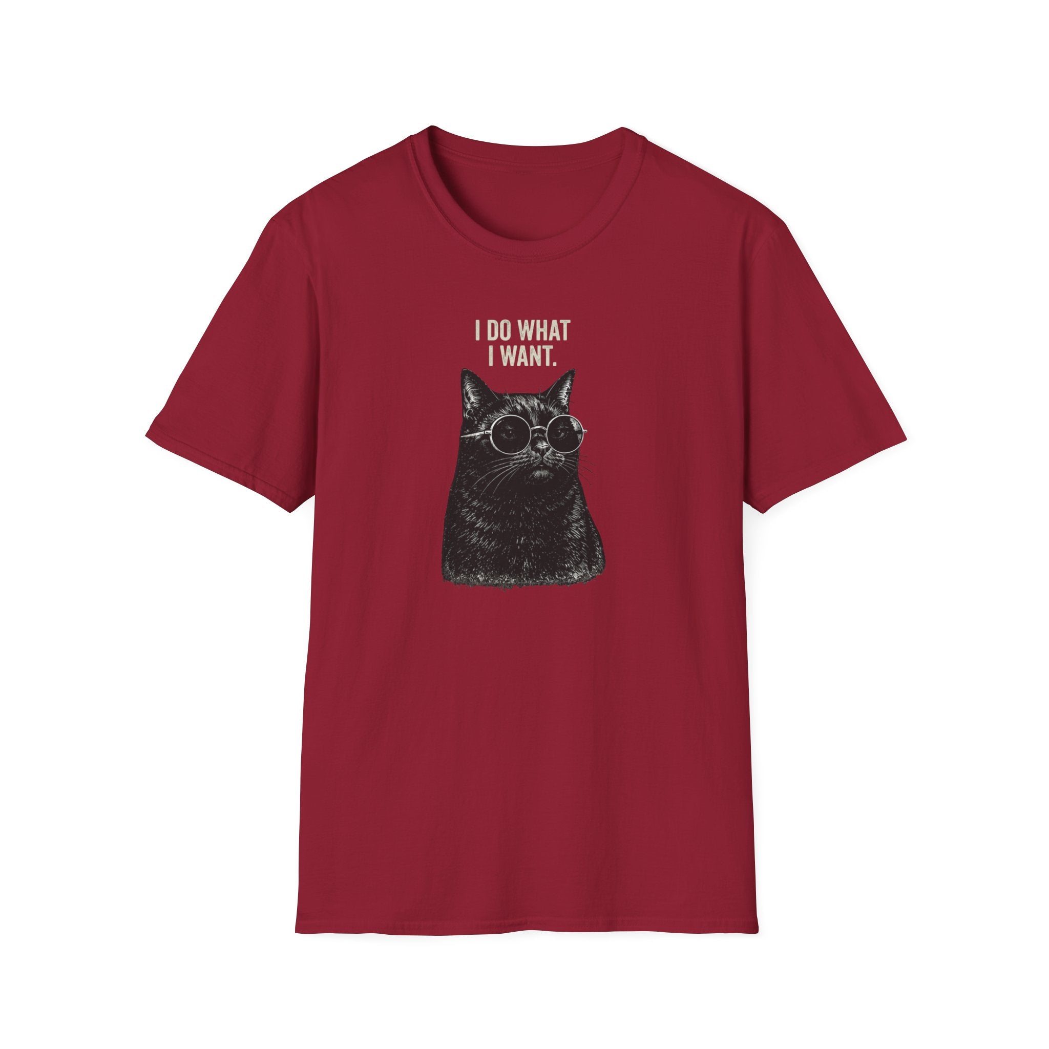 I Do What I Want T-Shirt